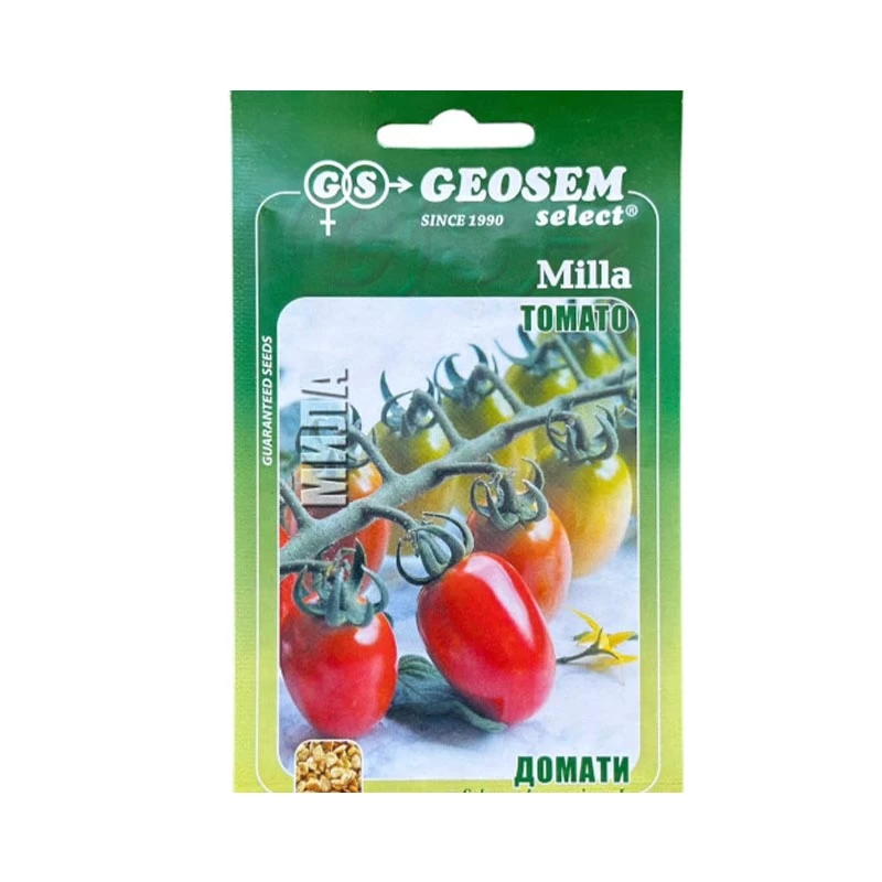 Tomate cherry - Seminte tomate cherry Milla - 0.2 grame