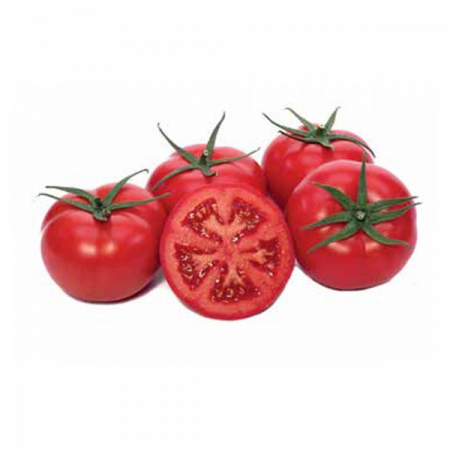Semideterminate - Seminte tomate  GIRAFFE F1 (EKIN F1), semideterminate - 1000 seminte