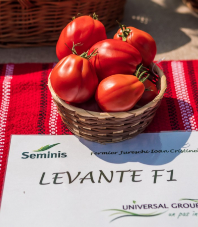 Seminte tomate LEVANTE F1 - 100 SEMINTE [2]