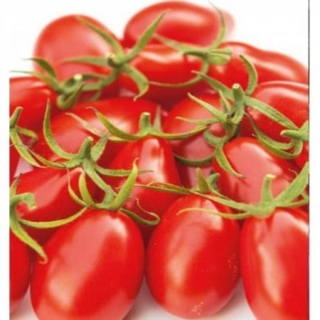 Nedeterminate - Seminte tomate Nicoleta F1, nedeterminate - 100 seminte