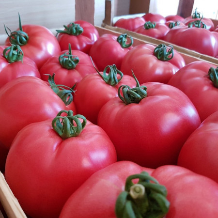Seminte de legume - Seminte tomate PINK ROCK F1, nedeterminate - 1000  seminte