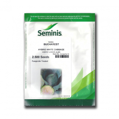 Seminte varza albă BUCHAREST F1 - 2500 seminte [1]
