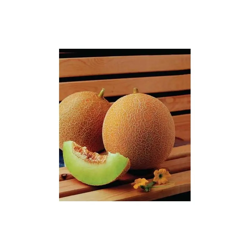 Seminte de legume - Seminte pepene galben Brimos F1 - 500 seminte