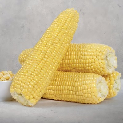 Seminte de porumb zaharat - Seminte porumb zaharat GLOBE F1 - 10.000 seminte