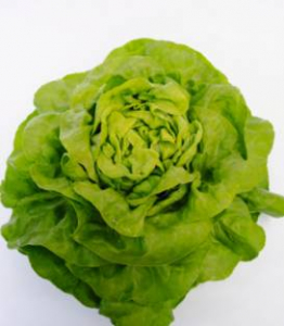 Seminte de legume - Seminte salată Malis - 5000 semințe
