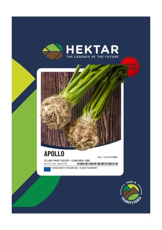 Seminte de legume - Seminte telina Apollo - 2500 seminte DRAJATE