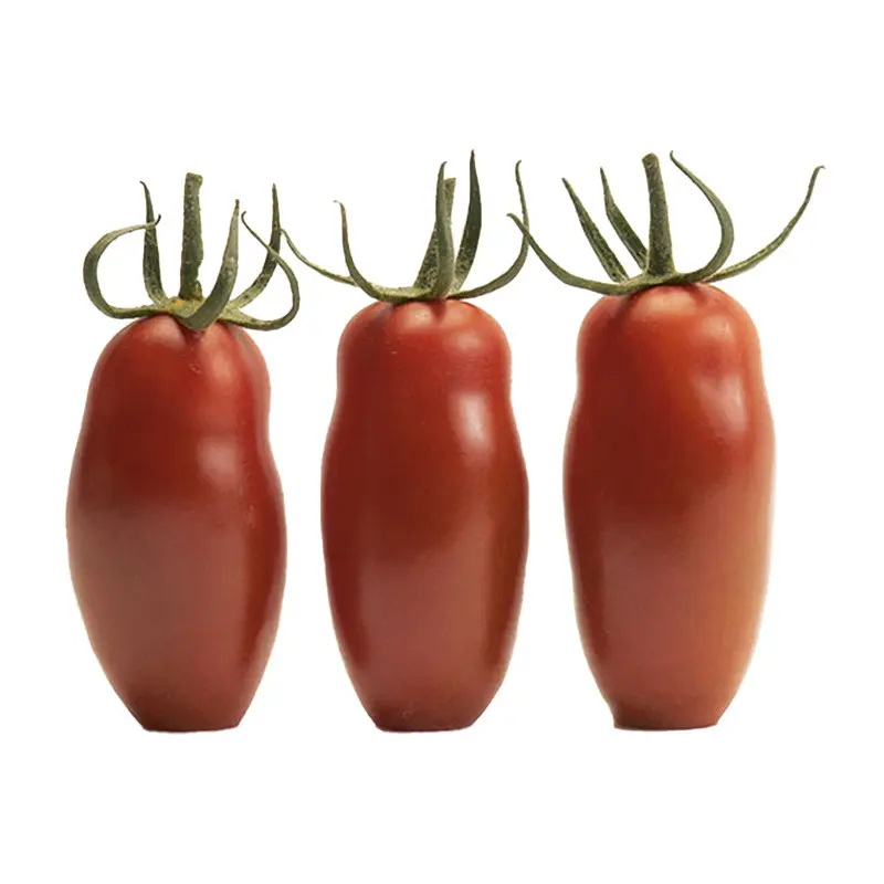 Nedeterminate - Seminte tomate Caprese F1 - 250 Seminte