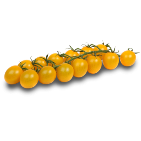 Nedeterminate - Seminte tomate TOBCOCKTAIL F1 - 250 Seminte