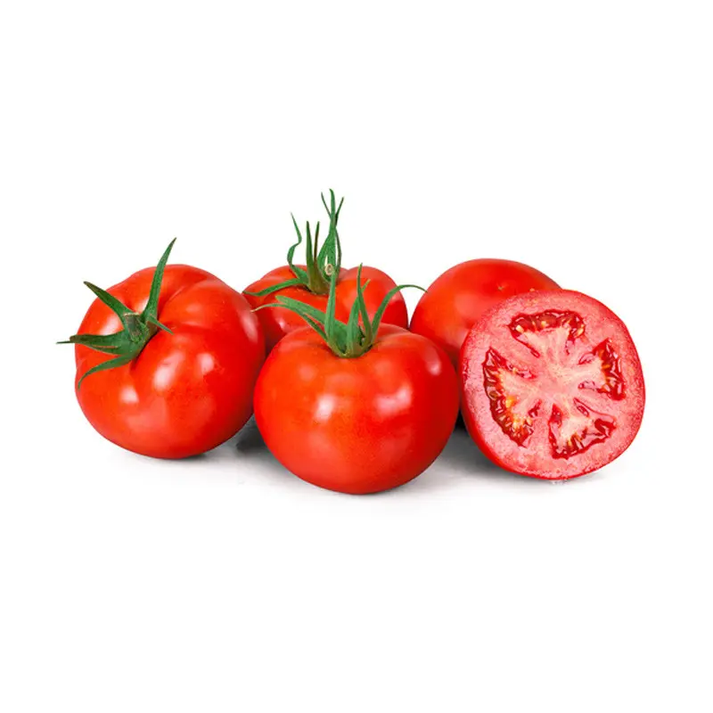 Nedeterminate - Seminte tomate TOBIAS F1 - 1000 Seminte