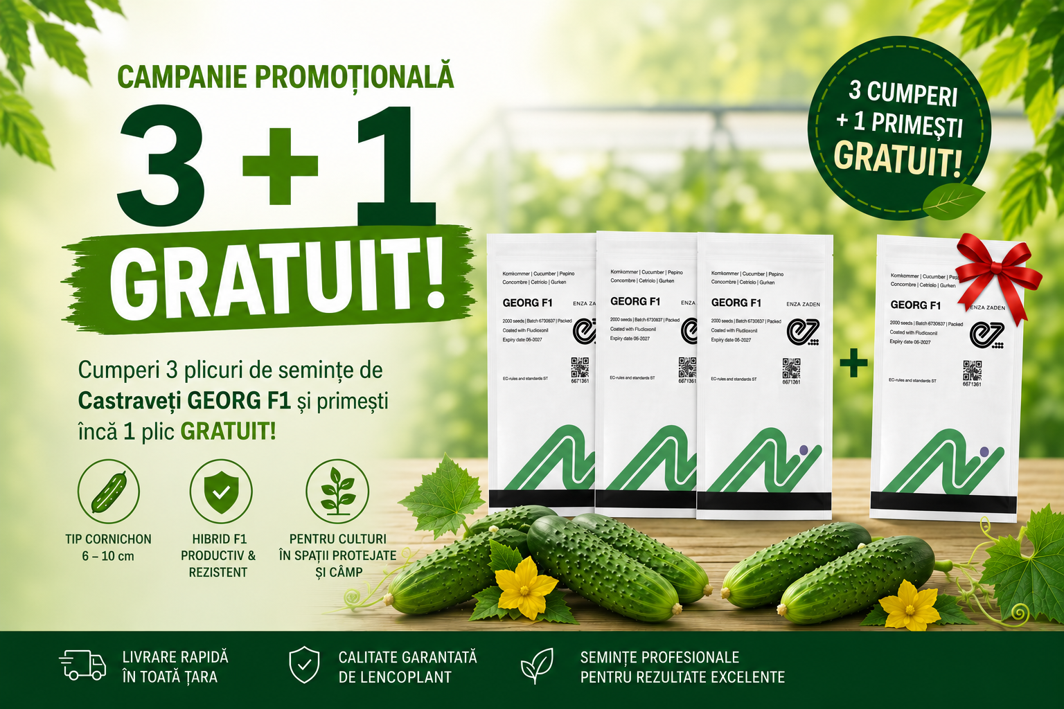PACHET PROMO seminte castraveti GEORG F1 , tip cornichon - 2.000 seminte ( 3 + 1 GRATIS ) 2.000 semințe