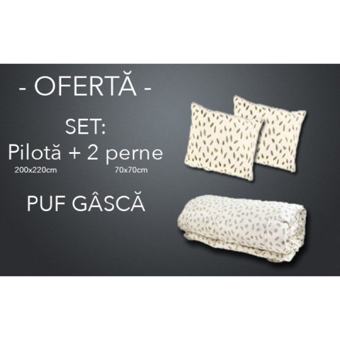 SET Pilota +2 perne 70x70 din puf de gasca-SPG1 [1]