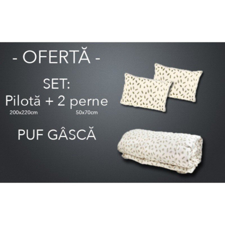Pilote - SET Pilota +2 perne 50x70 puf de gasca-SPG2