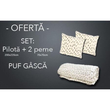 Pilote - SET Pilota +2 perne 70x70 din puf de gasca-SPG1