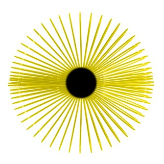 Soflex Toric lite lentilă anuală pentru astigmați | LensHub [1]
