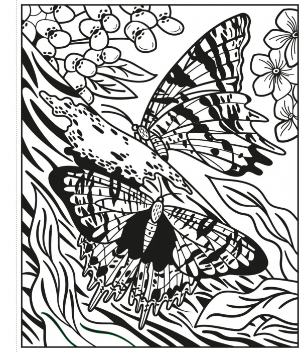 Butterflies Magic Painting Book Carte de pictat cu apa [4]