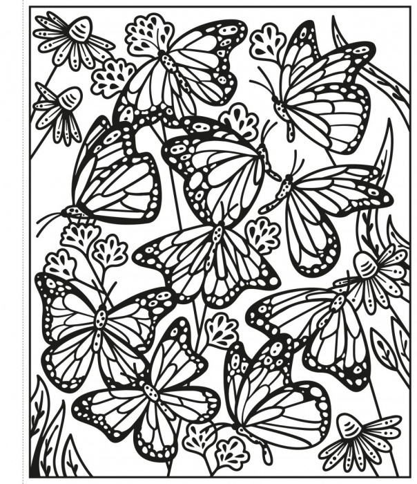 Butterflies Magic Painting Book Carte de pictat cu apa [3]