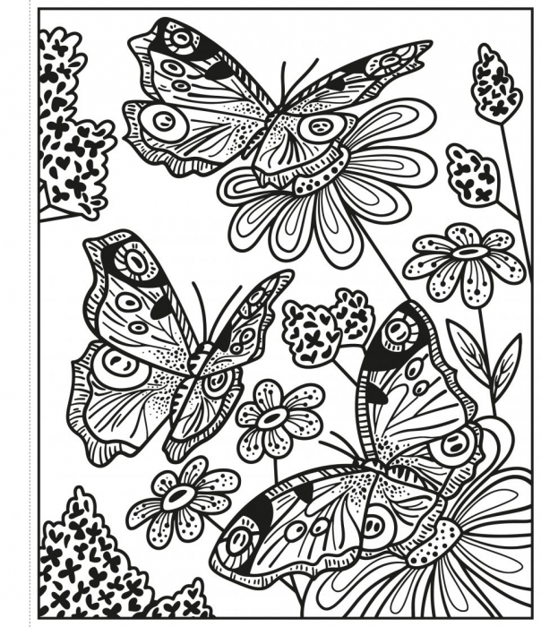 Butterflies Magic Painting Book Carte de pictat cu apa [2]