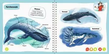 Carte Interactiva in limba germana TipToi despre Balene si Delfini  [3]