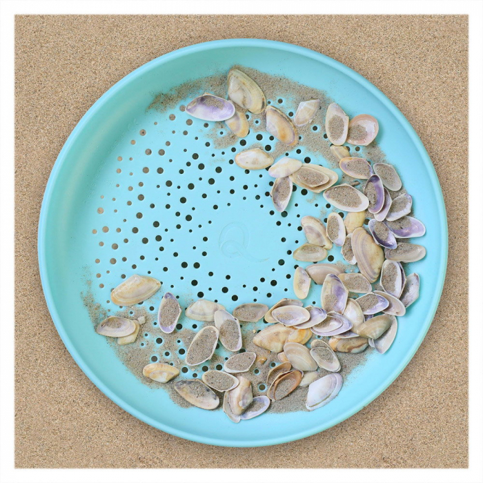 Disc frisbee si sita pentru nisip, Quut Toys [3]