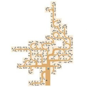 Visam un copac, joc de cooperare Londji [2]