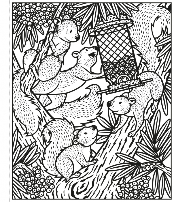 Garden Magic Painting Book, Carte de pictat cu apa [4]