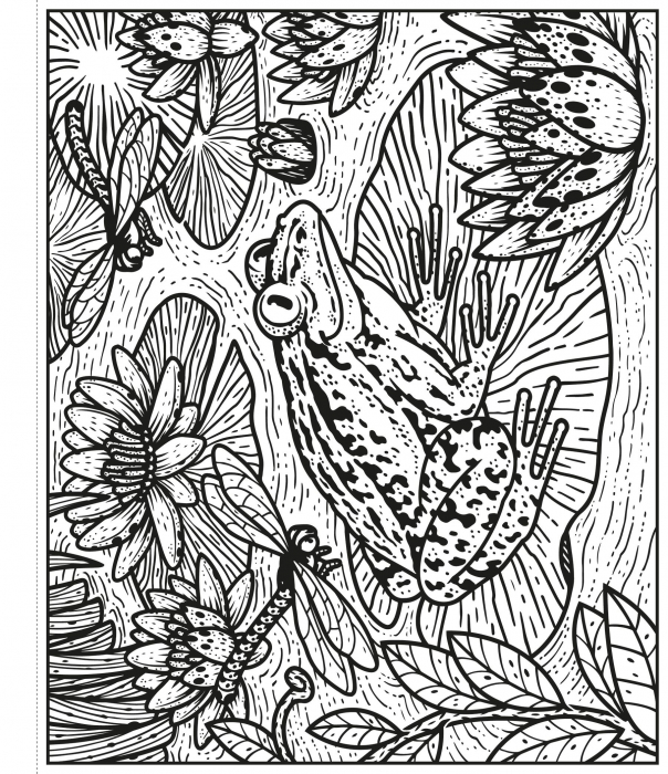Garden Magic Painting Book, Carte de pictat cu apa [2]