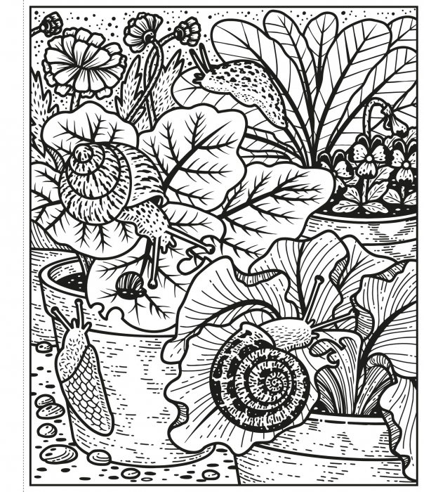 Garden Magic Painting Book, Carte de pictat cu apa [3]