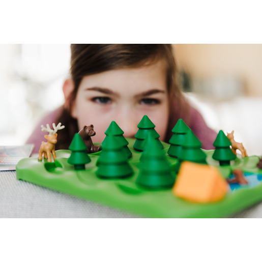 Grizzly Gears, Joc de logica Smart Games [6]