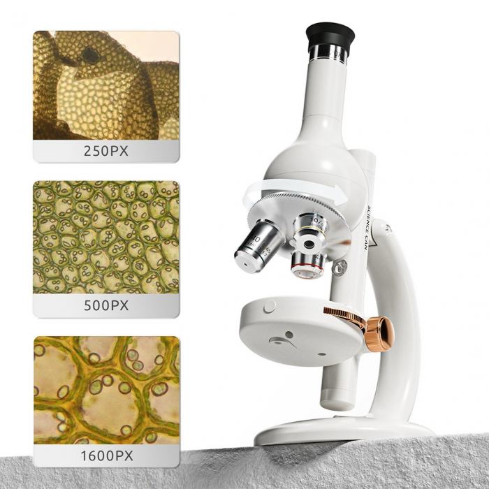 Joc STEM Set de laborator Microscop 1600, TopBright Toys [7]