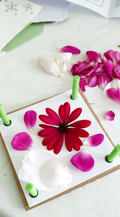 Kit creativ - Presa pentru flori si frunze (ierbar), Green Creativity [6]