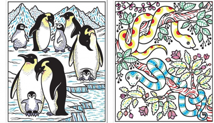 Magic painting animals, 5 ani+, Carte de pictat cu apa editura Usborne [2]