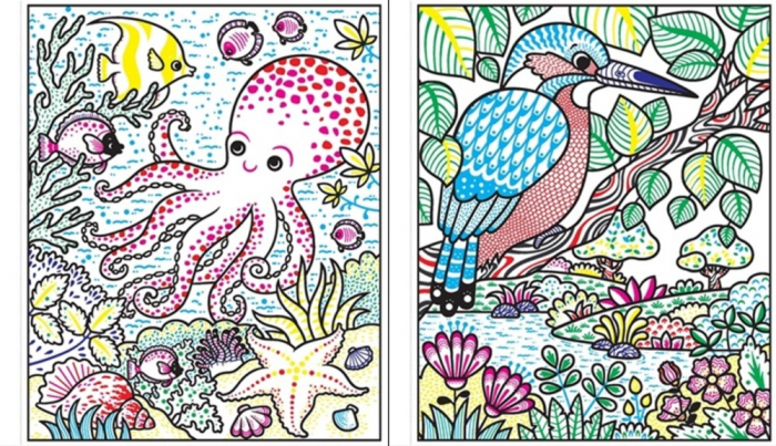 Magic painting animals, 5 ani+, Carte de pictat cu apa editura Usborne [3]