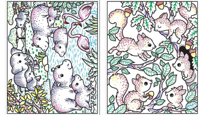 Magic painting animals, 5 ani+, Carte de pictat cu apa editura Usborne [4]
