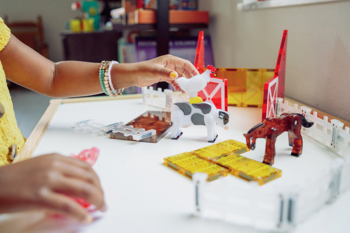 Magna-Tiles Farm Animals, set magnetic [2]