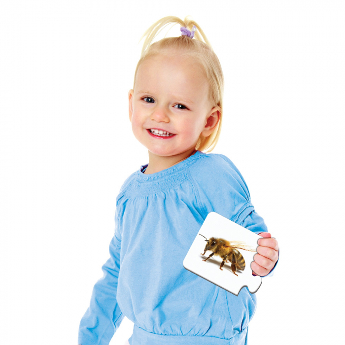 Puzzle Potriveste Primele Cuvinte - Eng [2]