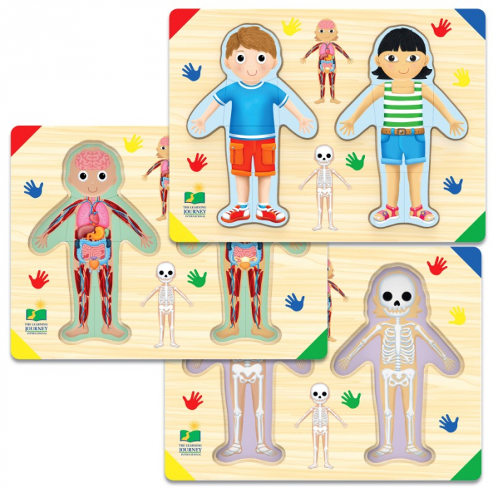 Puzzle - Sa Invatam Corpul Uman [2]