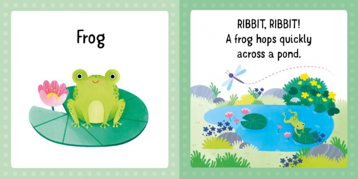 Set Carte si Puzzle Usborne First Jigsaws: Garden [3]