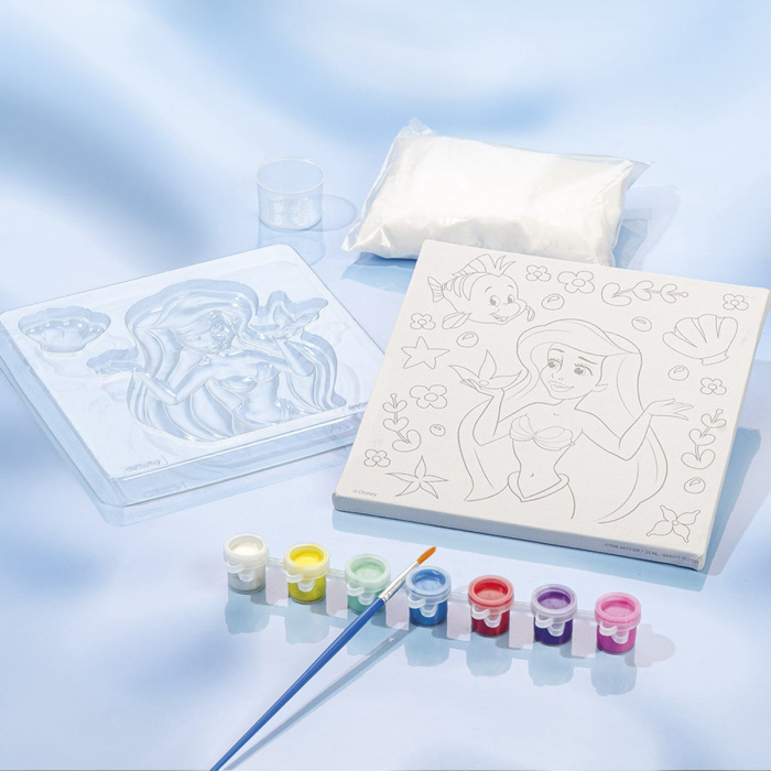 Set creativ pictura 3D Disney Princess [10]