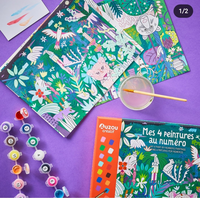 Set creativ Pictura pe numere [4]