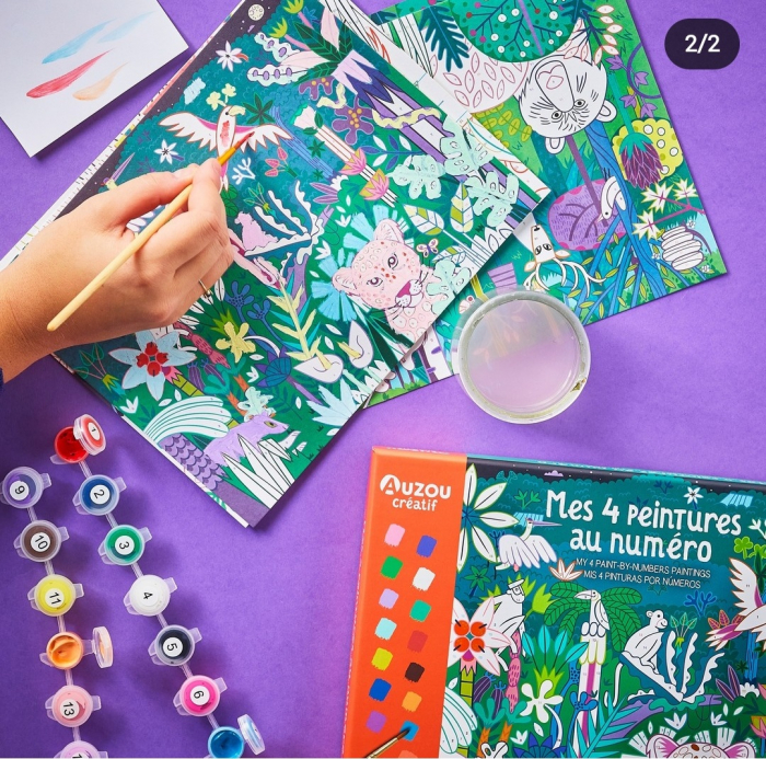 Set creativ Pictura pe numere [3]