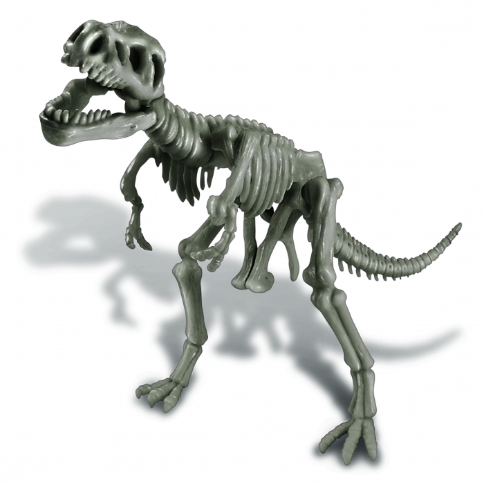 Set educativ Sapa si descopera Dinozauri - T-Rex [6]
