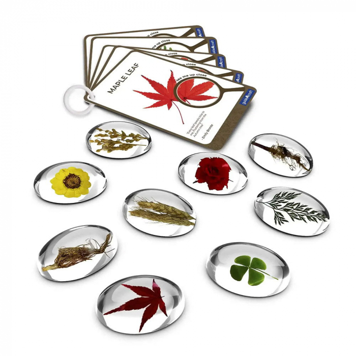 Specimen Stones, pietre din acril cu plante, Guidecraft [4]