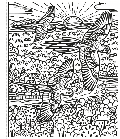 Birds Magic Painting Book, Carte de pictat cu apa [3]