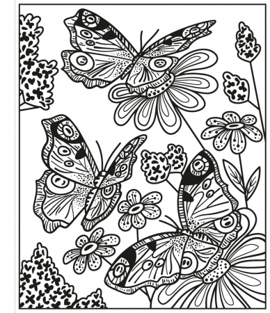 Butterflies Magic Painting Book Carte de pictat cu apa [1]