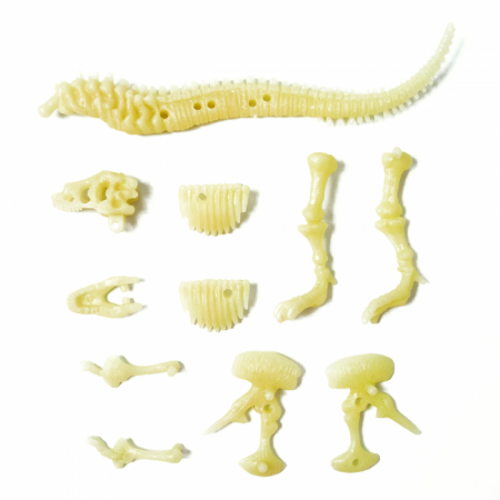 Fosila T-Rex fosforescenta , Sci:Bits [2]