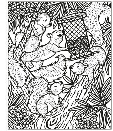 Garden Magic Painting Book, Carte de pictat cu apa [3]