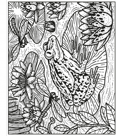Garden Magic Painting Book, Carte de pictat cu apa [1]
