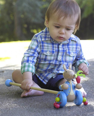 Jucarie de impins Peter Rabbit™, Orange Tree Toys [1]