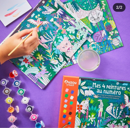 Set creativ Pictura pe numere [2]