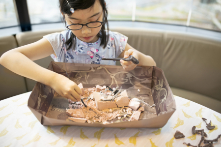 Set educativ Sapa si descopera Dinozauri - Triceratops [3]